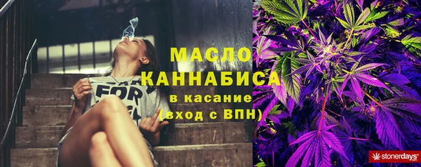 молекула духа Горнозаводск