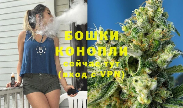 молекула духа Горнозаводск
