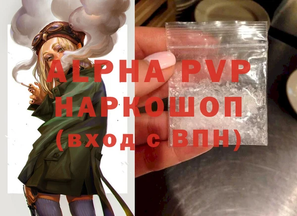 стаф Горняк