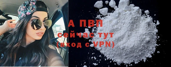 стаф Горняк