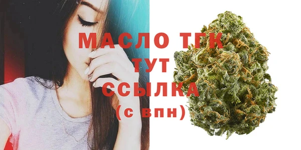 стаф Горняк
