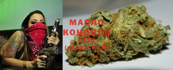 молекула духа Горнозаводск