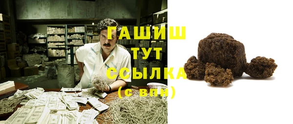 стаф Горняк