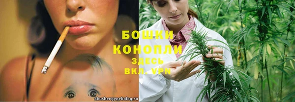 стаф Горняк
