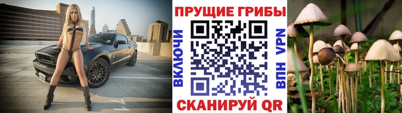 как найти наркотики  Мыски  Псилоцибиновые грибы ЛСД 